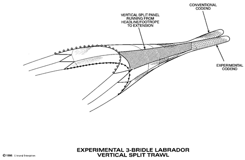 Diagram of a shrimp trawl; bridles (not shown) would extend to the left