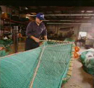 construction fo small inshore shrimp grid